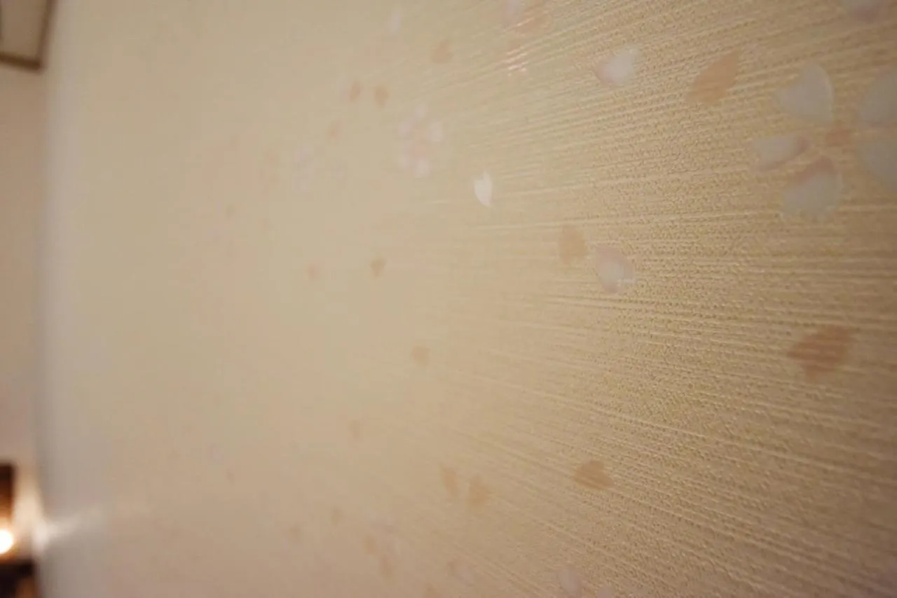 Pensjonat Hotel Sakura Kioto